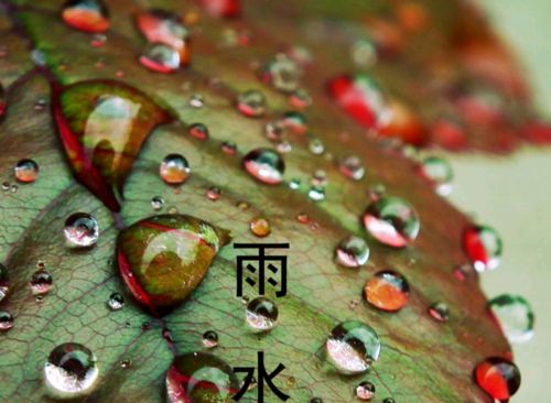 节气快到雨水了，雨水这天降雨好不好？听听老农咋说吧