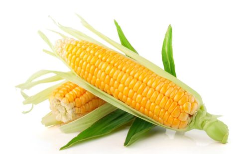 玉米丰产，最忌连阴天，如果遭遇连阴天如何应对？