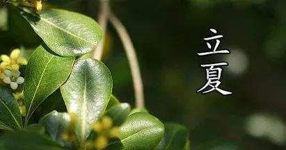 立夏快到了，关于立夏的农谚你知道多少？对农业有哪些警示呢？