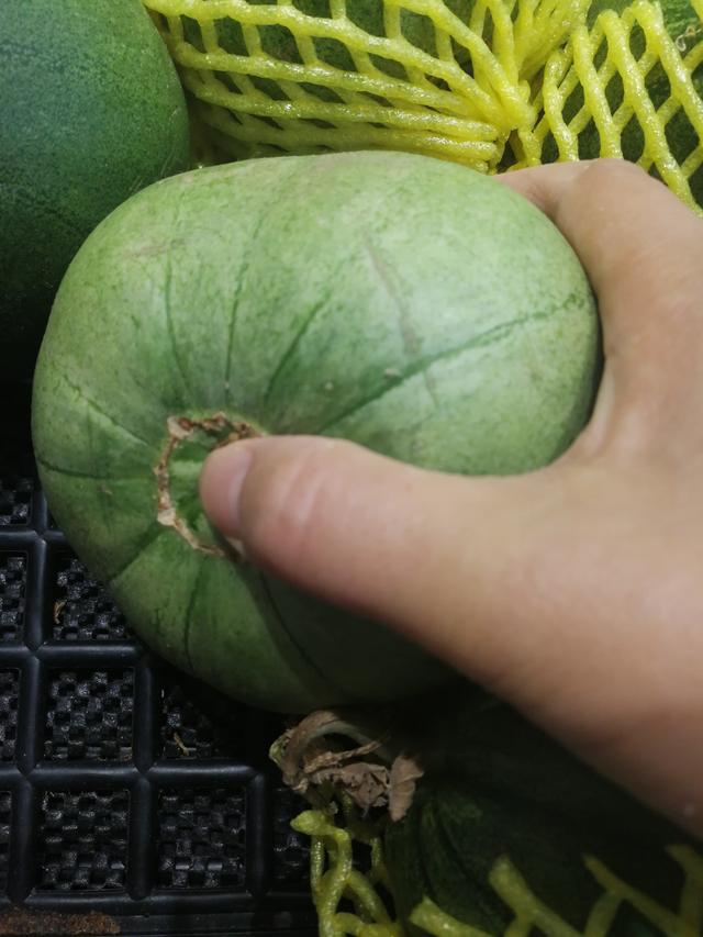 买绿宝不能只挑黄绿色 菜农教你3招挑，个个皮薄肉脆，香甜爆汁（买绿宝不能只挑黄绿色）(4)