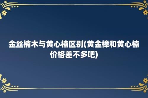 金丝楠木与黄心楠区别(黄金樟和黄心楠价格差不多吧)