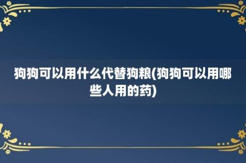 狗狗可以用什么代替狗粮(狗狗可以用哪些人用的药)