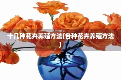 十几种花卉养殖方法(各种花卉养殖方法)