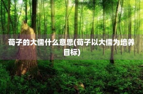 荀子的大儒什么意思(荀子以大儒为培养目标)