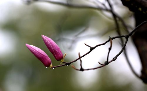 春分各种天气啥说讲？有道理吗？该如何安排农事？