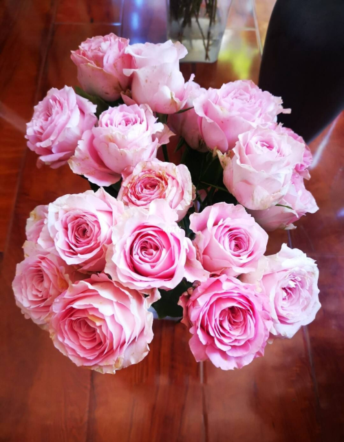 粉色系玫瑰区分，不仅外表美，名字更美