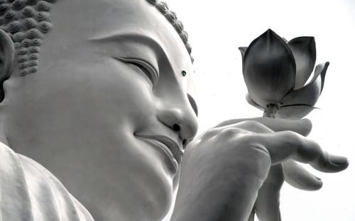 佛陀涅槃后我们该以谁为师呢？