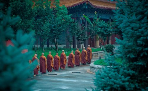“自律才能自由”：原来佛教僧人才是自律的先驱者