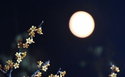 中秋佳节赏月、拜月的习俗也与佛教有关？