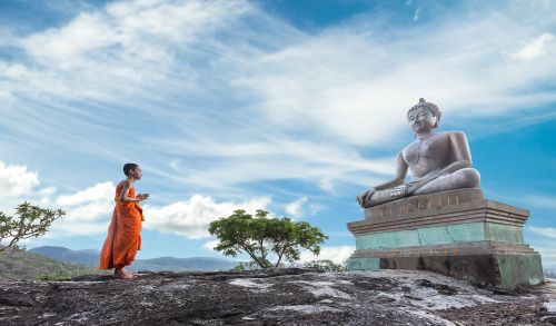 植物也有生命，为何不属杀生范畴？| 初学佛关于杀生你了解多少？