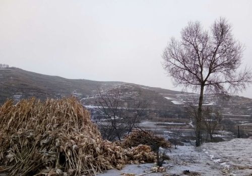 腊八将至，农村老人说“腊八毒日头，来年起坟头”，指的啥意思？