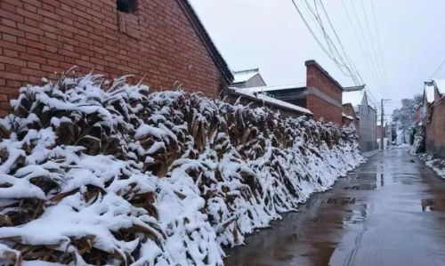 今年是冷冬还是暖冬？冬至的晴雨有啥预兆？看老祖宗怎么说