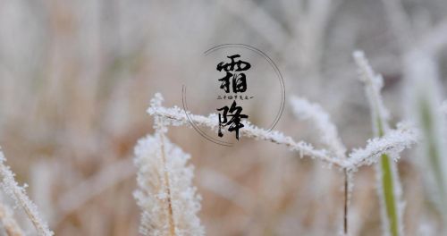 今年冬天冷吗？是暖冬，还是冷冬？看霜降的俗语怎么说