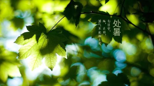 处暑将至，老祖宗说“热不热看处暑”，秋后还会热多久呢？