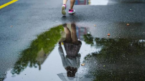 “时中莫有雨，有雨卖儿女”是啥意思？时中指啥时候？民间智慧