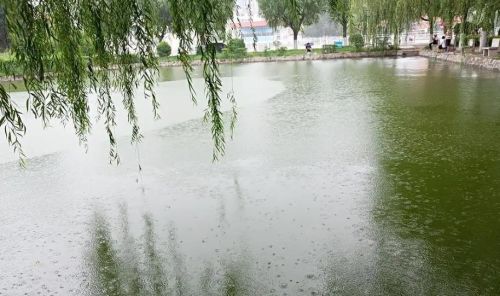 “时中莫有雨，有雨卖儿女”是啥意思？时中指啥时候？民间智慧