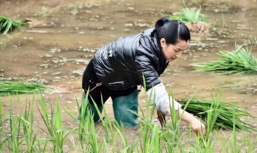 “女不嫁三花，男不娶四白”是什么意思？三花指的是哪三花，准吗