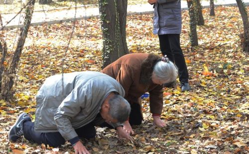 十月一寒衣节，上坟祭祀有“三忌四不做”的讲究，你知道吗？