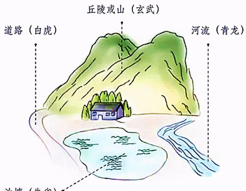 为啥说“龙长虎短千金不换，龙近虎远福寿双全”？你家是不是这样