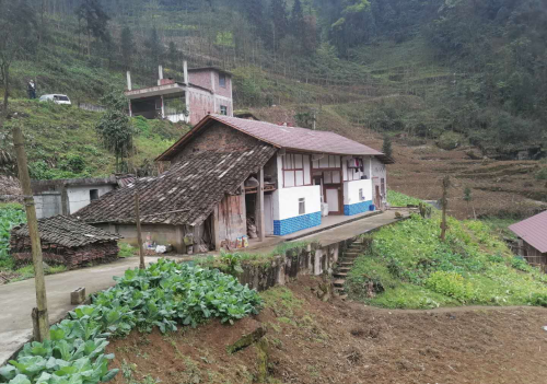 4种农村宅基地格局，前后窄宽，左右长短都有讲究，看完涨知识