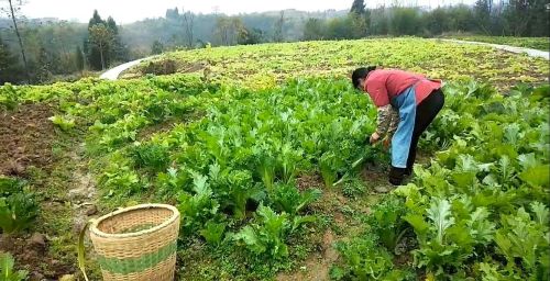 阳宅须教择地形，背山面水称人心！寻龙捉穴的农俗对盖房真有必要