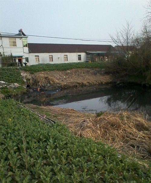 盖房莫盖背水路，千金难买向南楼！农村盖房这3个挑地条件已过时