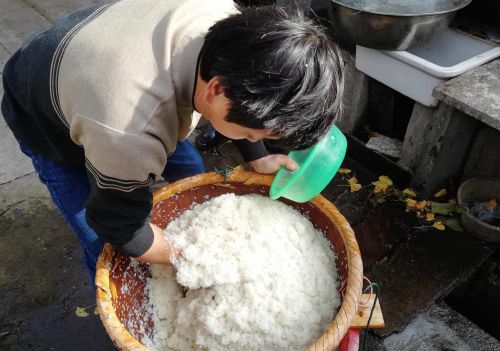 春节快到，农村又开始酿米酒习俗，制作简单，只需5步就能完成