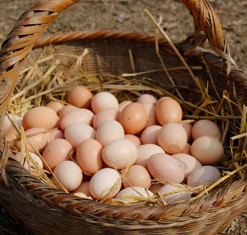 为何农村生孩子，别人都爱送鸡蛋？送鸡蛋习俗，意义可大可多了