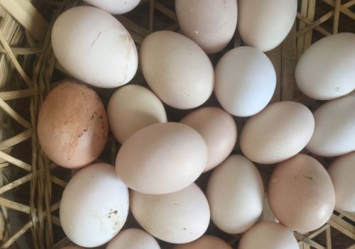 为何农村生孩子，别人都爱送鸡蛋？送鸡蛋习俗，意义可大可多了