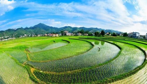 耕地保护检查的6个重点，基本农田和高标准农田不允许随意占用