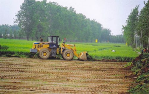 耕地保护检查的6个重点，基本农田和高标准农田不允许随意占用