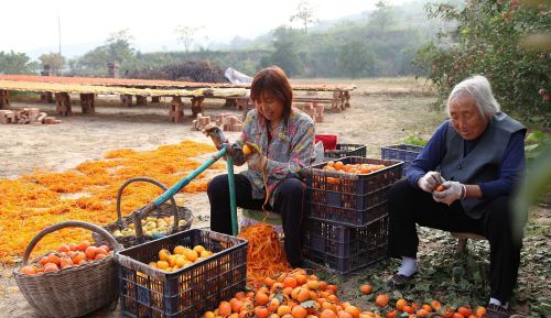 有柴不烧敞口锅，有女不嫁无公婆！农村的择偶标准，过时却有道理