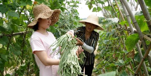 有柴不烧敞口锅，有女不嫁无公婆！农村的择偶标准，过时却有道理