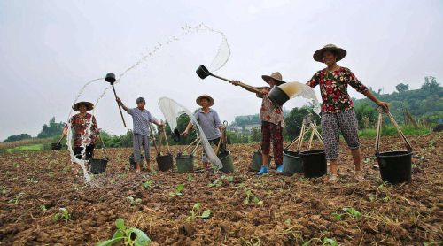 户口还在农村，外嫁女能否分到娘家土地和宅基地？可以，但很难