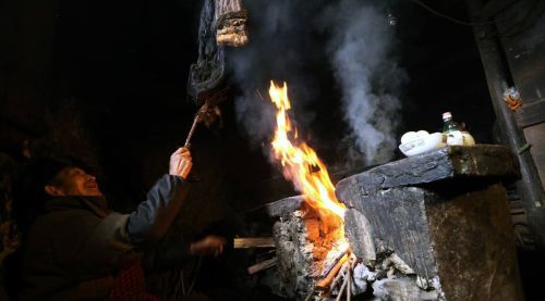 农村常说：夜猫子不进无病之家，燕子不进苦寒之门！真的是这样么