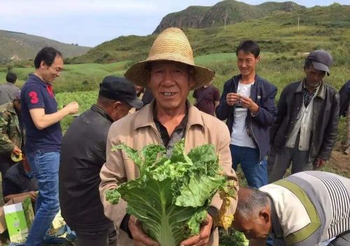 在城里买房首付十多万，在农村自己建房也要几十万，怎样才划算？