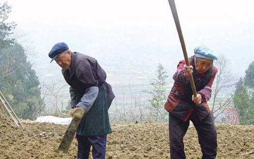 七八十岁还下地干活，农村老人咋想的？大多农民：不干活靠啥活着