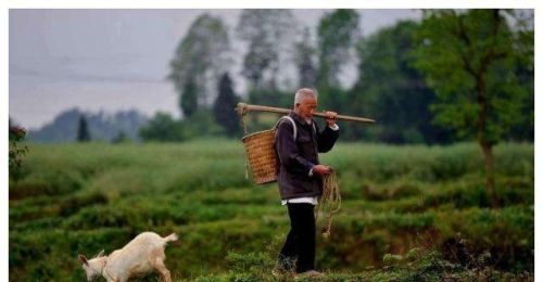 七八十岁还下地干活，农村老人咋想的？大多农民：不干活靠啥活着
