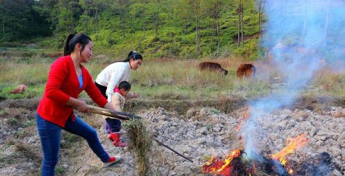 宁可穷死，不娶生妻！现在又出“三不嫁”，农村结婚难是有原因的