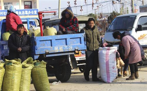 今日18个省猪价下跌，人为操纵市场不一定好，农民怎么过个好年？