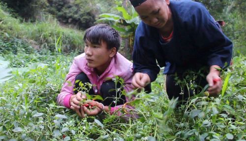 国庆小长假，出去浪不如回老家收庄稼，儿时这5种农活你做过哪些