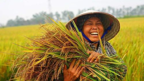 农村常说：一人不进庙，二人不看井，三人不抱树！不害人也要防人