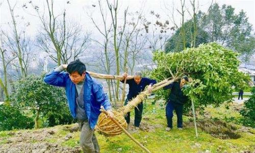 农村常说：一人不进庙，二人不看井，三人不抱树！不害人也要防人