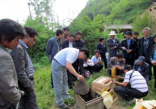 宅子有三喜，家中才人出！农村家里有这三种动物，请好好保护