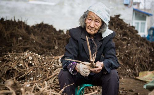 贵州农村人超喜欢的野菜，其他地方却嫌弃是味蕾极限，吃折耳根么