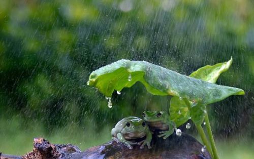 农村老人说：疾风暴雨，不入寡妇之门！年轻人却说：爬窗户进去