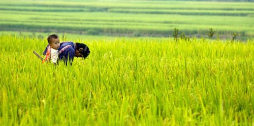 女人当家驴耕地，母鸡打鸣不吉利！农村人眼里，女人就那么不堪？