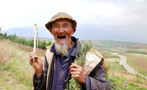 同是属羊，六月羊满肥肠，冬月羊跑断肠！这句农村俗语有何依据？