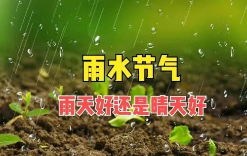 今日雨水，下雨有何预兆？晴天好还是下雨好？看看农谚就知道