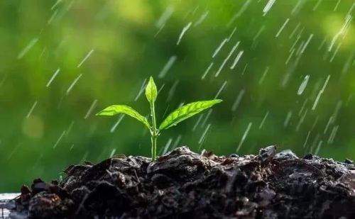 今日雨水，下雨有何预兆？晴天好还是下雨好？看看农谚就知道